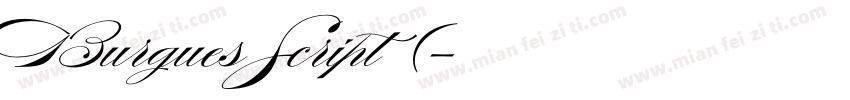 Burgues Script 常规(字体转换